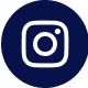 Le logo d'Instagram sur ol.fr